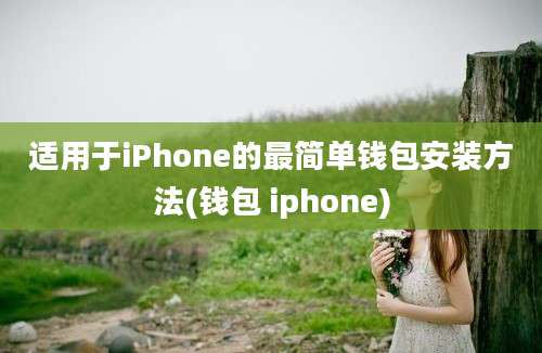 适用于iPhone的最简单钱包安装方法(钱包 iphone)