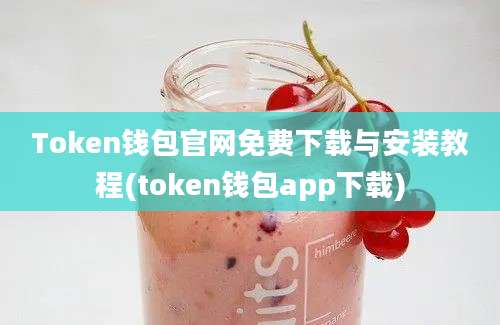 Token钱包官网免费下载与安装教程(token钱包app下载)