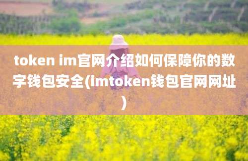 token im官网介绍如何保障你的数字钱包安全(imtoken钱包官网网址)