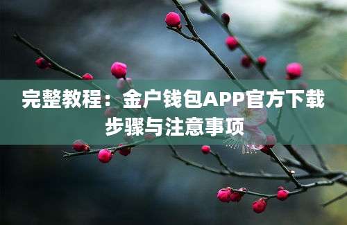 完整教程：金户钱包APP官方下载步骤与注意事项