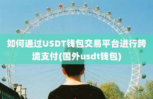 如何通过USDT钱包交易平台进行跨境支付(国外usdt钱包)