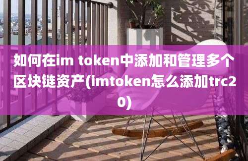 如何在im token中添加和管理多个区块链资产(imtoken怎么添加trc20)