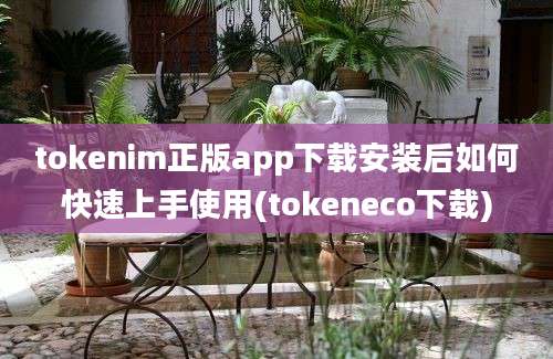 tokenim正版app下载安装后如何快速上手使用(tokeneco下载)