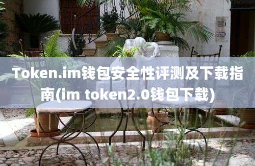 Token.im钱包安全性评测及下载指南(im token2.0钱包下载)