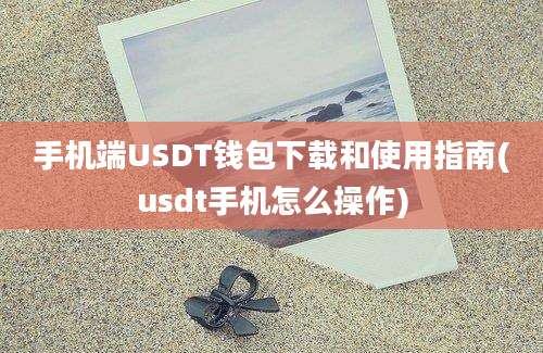 手机端USDT钱包下载和使用指南(usdt手机怎么操作)