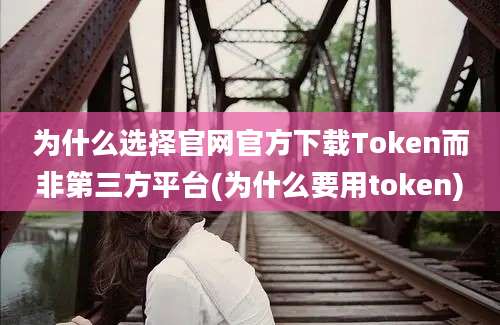 为什么选择官网官方下载Token而非第三方平台(为什么要用token)