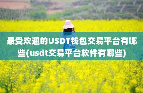 最受欢迎的USDT钱包交易平台有哪些(usdt交易平台软件有哪些)