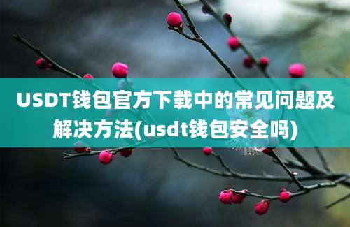 USDT钱包官方下载中的常见问题及解决方法(usdt钱包安全吗)