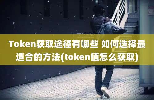 Token获取途径有哪些 如何选择最适合的方法(token值怎么获取)