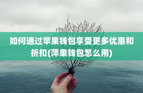 如何通过苹果钱包享受更多优惠和折扣(萍果钱包怎么用)