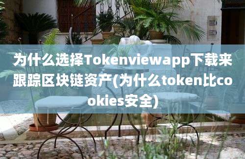 为什么选择Tokenviewapp下载来跟踪区块链资产(为什么token比cookies安全)