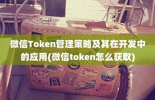 微信Token管理策略及其在开发中的应用(微信token怎么获取)