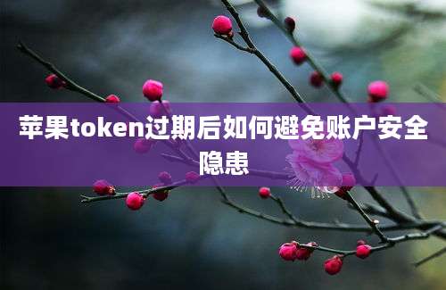 苹果token过期后如何避免账户安全隐患