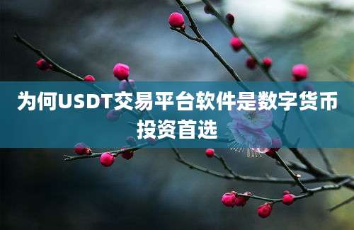 为何USDT交易平台软件是数字货币投资首选