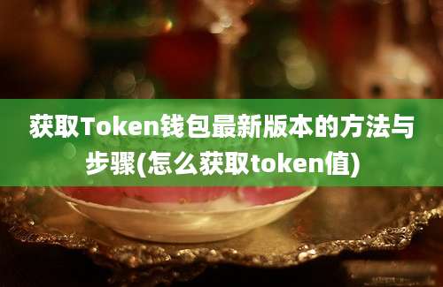 获取Token钱包最新版本的方法与步骤(怎么获取token值)