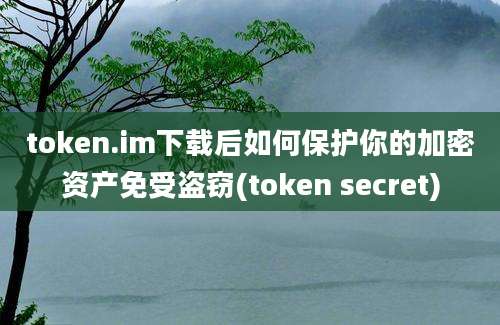 token.im下载后如何保护你的加密资产免受盗窃(token secret)