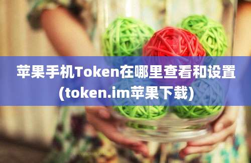 苹果手机Token在哪里查看和设置(token.im苹果下载)