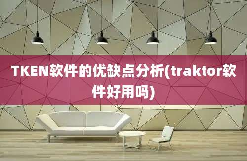 TKEN软件的优缺点分析(traktor软件好用吗)