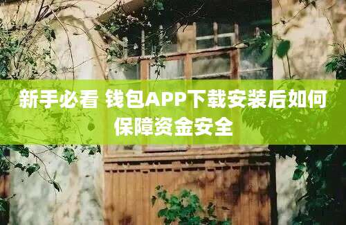 新手必看 钱包APP下载安装后如何保障资金安全