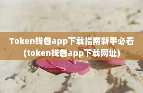 Token钱包app下载指南新手必看(token钱包app下载网址)