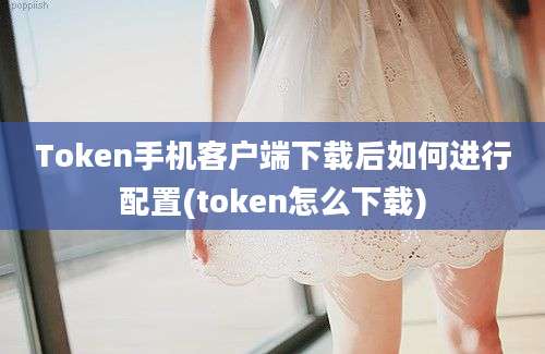 Token手机客户端下载后如何进行配置(token怎么下载)