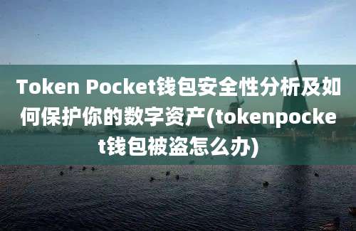 Token Pocket钱包安全性分析及如何保护你的数字资产(tokenpocket钱包被盗怎么办)