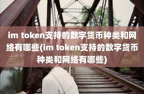 im token支持的数字货币种类和网络有哪些(im token支持的数字货币种类和网络有哪些)