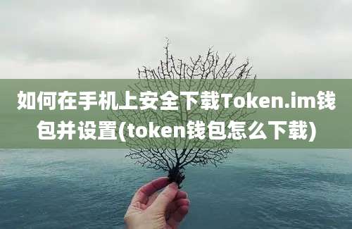 如何在手机上安全下载Token.im钱包并设置(token钱包怎么下载)