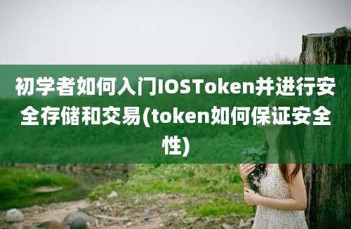 初学者如何入门IOSToken并进行安全存储和交易(token如何保证安全性)