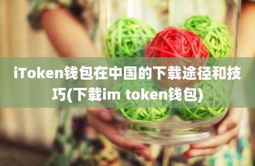 iToken钱包在中国的下载途径和技巧(下载im token钱包)