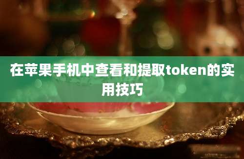 在苹果手机中查看和提取token的实用技巧