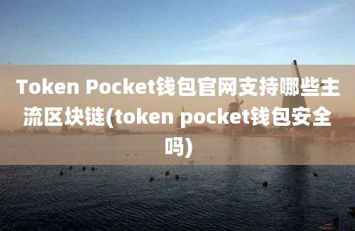 Token Pocket钱包官网支持哪些主流区块链(token pocket钱包安全吗)