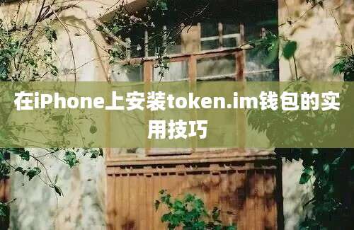 在iPhone上安装token.im钱包的实用技巧