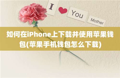 如何在iPhone上下载并使用苹果钱包(苹果手机钱包怎么下载)