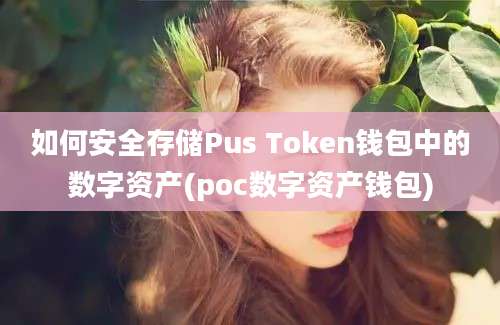 如何安全存储Pus Token钱包中的数字资产(poc数字资产钱包)