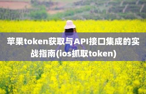 苹果token获取与API接口集成的实战指南(ios抓取token)