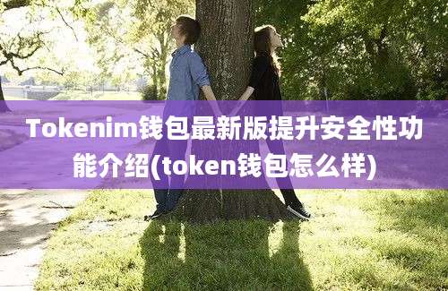 Tokenim钱包最新版提升安全性功能介绍(token钱包怎么样)