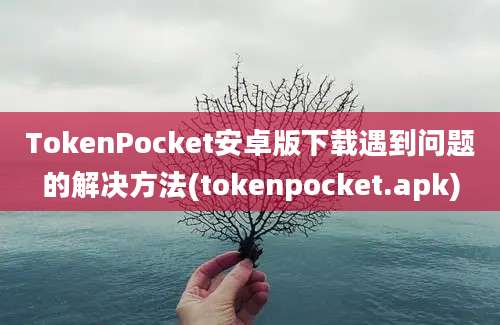 TokenPocket安卓版下载遇到问题的解决方法(tokenpocket.apk)