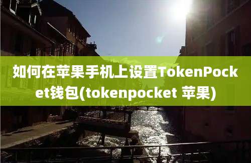 如何在苹果手机上设置TokenPocket钱包(tokenpocket 苹果)