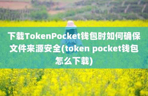 下载TokenPocket钱包时如何确保文件来源安全(token pocket钱包怎么下载)