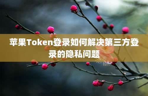 苹果Token登录如何解决第三方登录的隐私问题