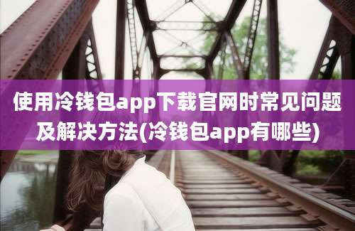 使用冷钱包app下载官网时常见问题及解决方法(冷钱包app有哪些)