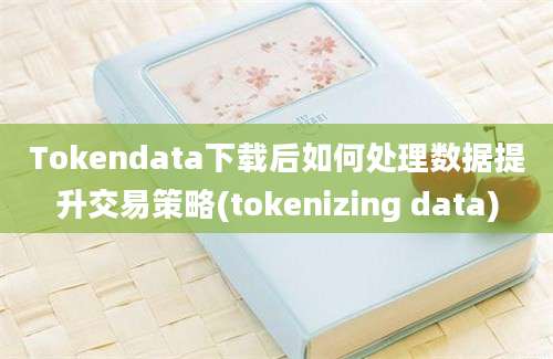 Tokendata下载后如何处理数据提升交易策略(tokenizing data)