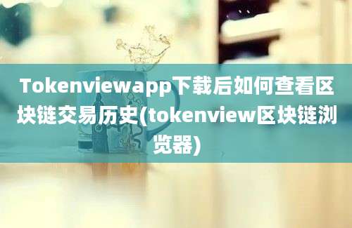 Tokenviewapp下载后如何查看区块链交易历史(tokenview区块链浏览器)