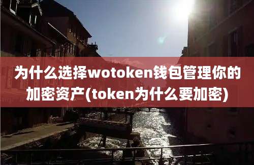 为什么选择wotoken钱包管理你的加密资产(token为什么要加密)