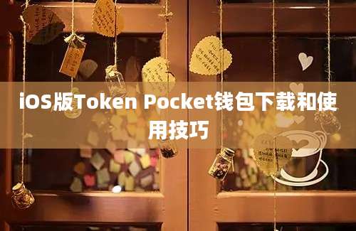 iOS版Token Pocket钱包下载和使用技巧