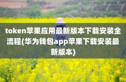 token苹果应用最新版本下载安装全流程(华为钱包app苹果下载安装最新版本)