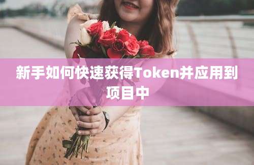 新手如何快速获得Token并应用到项目中