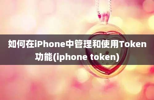 如何在iPhone中管理和使用Token功能(iphone token)