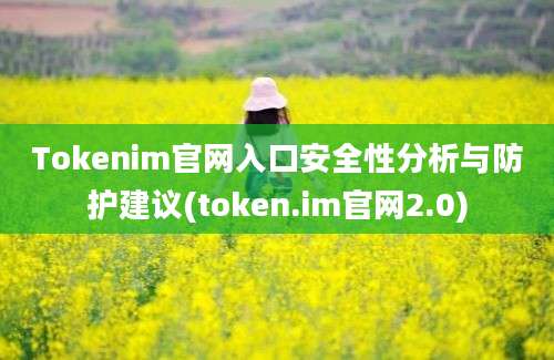 Tokenim官网入口安全性分析与防护建议(token.im官网2.0)